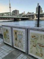 隅田川テラス・桜橋⇔蔵前橋