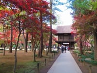 写真は、平林寺の紅葉