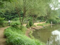 横浜の自然公園「舞岡公園」散策　　