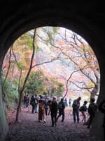 愛岐トンネル群 秋の一般公開