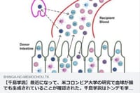 ★ 【千島学説】最近になって、米コロンビア大学の研究で血球が腸でも生成されていることが確認された。千島学説はトンデモ学説ではない。