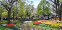 私の一冊・昭和記念公園の花たち