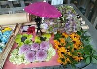 梅雨時の下谷神社の花手水