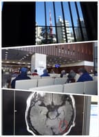 幼稚園へおくる/MRI定期検診(脳出血・脳梗塞)