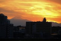 写真は、夕暮れの富士山、ヤマガラ、ボケ