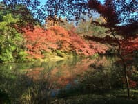 京都府立植物園で秋を描こう