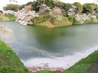 写真は、千鳥ヶ淵の桜、桜とボート、隅田川の舟、桜、電車、車