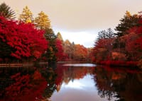 雲場池、紅葉