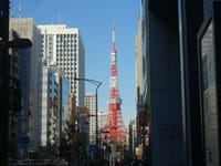 孫の子守り/東京タワー