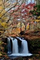 山梨県富士吉田・鐘山の滝、恩賜林イロハモミジの紅葉 2020-11-13 