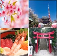 ☆Niceお花見企画　愛宕神社、増上寺の桜散策＆絶品海鮮丼を楽しみましょう♬