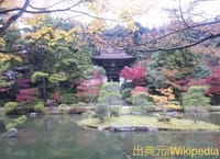 水面に映る美しい風景✨圓成寺の紅葉🍁
