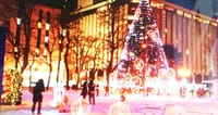 ミュンヘンクリスマス市＆ホワイトイルミネーション（ 追加分）