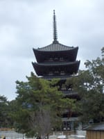☆何度写しただろうでもやっぱし押さえておきたい奈良の風景【興福寺】