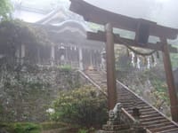 ◆最古の玉置神社と神代杉にお参りしよう!!　<初心者向き>