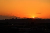 写真は、日の入りと富士山、メジロと桜、クロッカス