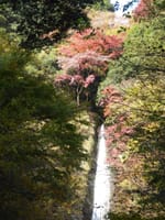 紅葉狩り　洒水の滝　最乗寺