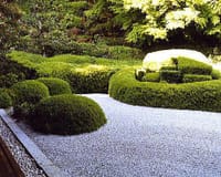 日本庭園の、生け垣と刈り込み