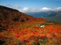 那須岳は登りませんが、紅葉の綺麗な姥ヶ平に行ってみませんか？
