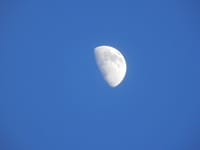 青空の下の上弦の月