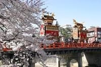 日本三大高山祭り 飛騨牛 松本や安養寺の桜など欲張り企画