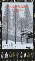 まさか名古屋の初雪でこんなにガッツリ積もるとは。 【名古屋市 初雪 大雪警報 2022年12月24日(土)】