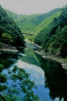 京都嵐山嵯峨野～トロッコ電車～祇王寺～松尾大社へ　　20202.8