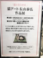 猫アート佐山泰弘作品展に行って来ました✨と、明日4月13日パンデミック条約反対デモに行ってきます！✨