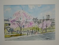 　枝垂桜とお城の櫓