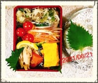 夏至☀️　⭕️お弁当〜皮なしシューマイ、サッパリ夏ドレッシングのサラダ