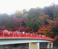 紅葉を堪能した香嵐渓と寸又峡、渡れなかった文字通りの夢の吊り橋　(ツアー2日目）　　2019年11月23日　　　