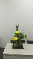 🌄鎌倉で「お正月花」を生けてみましょう❣初心者も歓迎