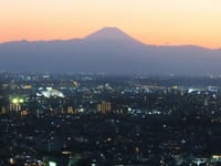 恵比寿タワー３８階からの夕暮れの富士山、紅しだれ桜　代々木八幡宮にて、スケスケのトイレ　代々木深町小公園にて