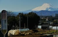 🗻 神奈中バスから見る世界文化遺産『富士山』🗻