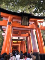 京都旅行～伏見稲荷