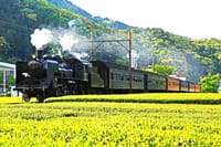 「懐かしの蒸気機関車を見られる東京都近郊のスポット」