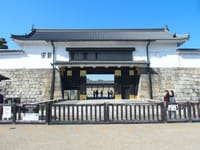 京都 二条城の梅林