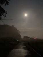 早朝散歩と満月🌕