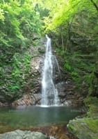 この暑い夏、涼しい『払沢の滝』の飛沫を浴び、渓谷で川遊びをして、美肌の湯『瀬音の湯』でさっぱりとしよう～！！