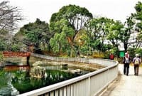 東京下町/自然がいっぱい、水辺の散歩道・運河・公園を歩く（砂町銀座商店街でつまみ食いも〜）