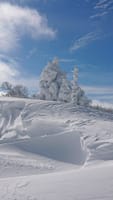 積雪期の『氷ノ山』スノーモンスター＆広大な雪原