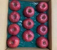 信州リンゴ安曇野（あずみの）からサンふじ2箱