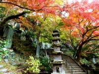 鎌倉天園ハイキングコース