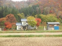 山形県の秋の風景、世田谷線のハギ、野川のカワセミ