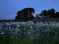 「復興への道灯り　光のインスタレーション多賀城2023」を6月22日に見学しました。 