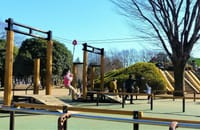 1月4日の小金井公園２
