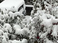 大寒波で初雪(2022/12/24)