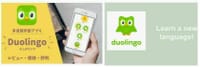 Why don't you use Duolingo?