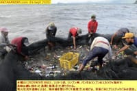 画像シリーズ212「バンダルランプンの海岸を汚染し尽くすプラスチック廃棄物」”Sampah plastik cemari pantai Bandar Lampung“