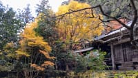 奈良の秋を求めて、